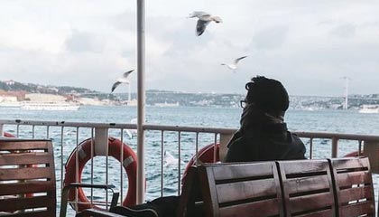 99图库-期号检索-追踪公告,4九图库